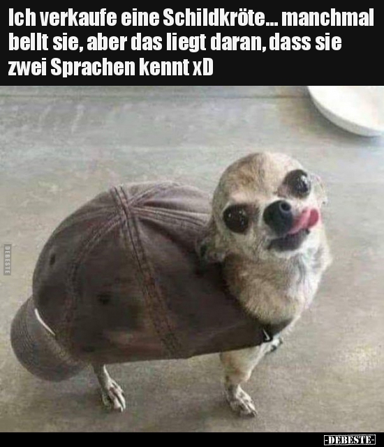 Ich verkaufe eine Schildkröte... manchmal bellt sie, aber.. - Lustige Bilder | DEBESTE.de