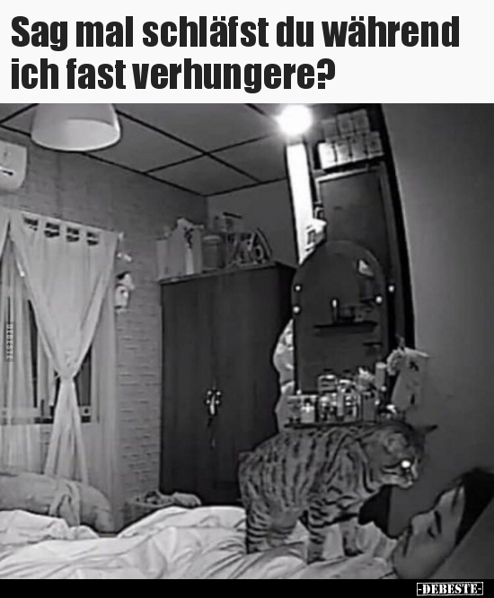 Sag mal schläfst du während ich fast verhungere?.. - Lustige Bilder | DEBESTE.de
