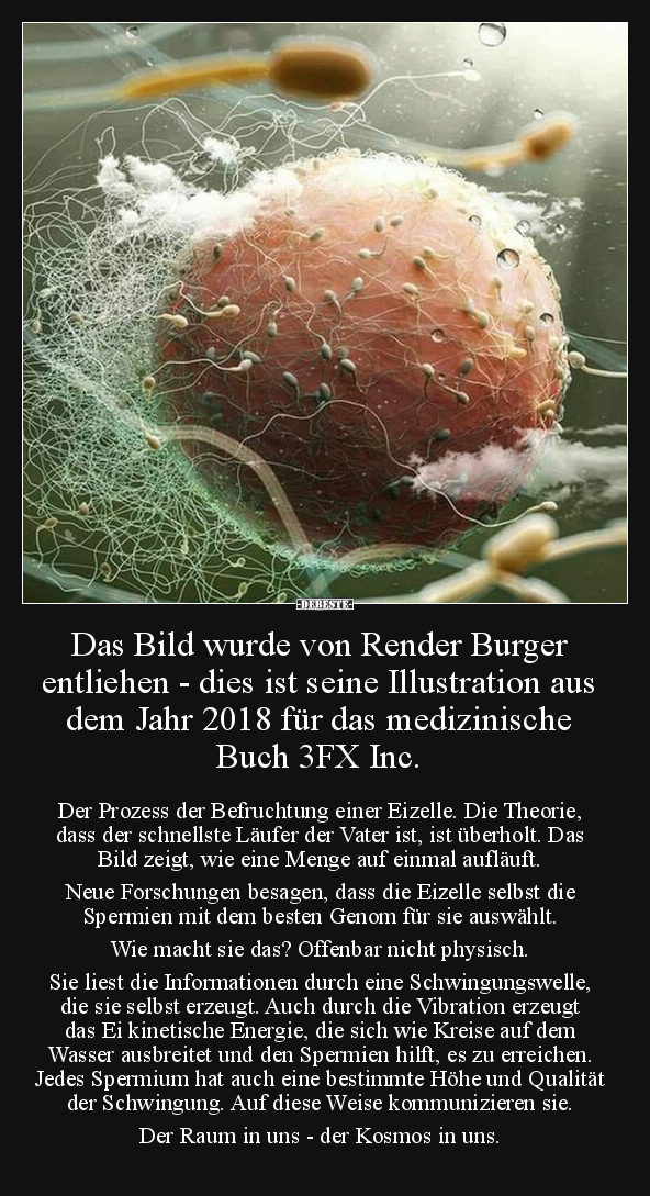 Das Bild wurde von Render Burger entliehen - dies ist.. - Lustige Bilder | DEBESTE.de