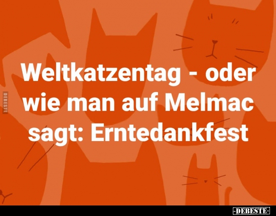 Weltkatzentag - oder wie man auf Melmac sagt.. - Lustige Bilder | DEBESTE.de