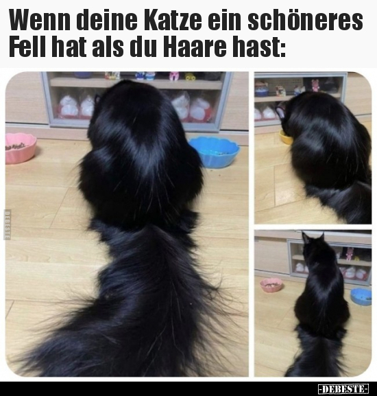 Wenn deine Katze ein schöneres Fell hat als du Haare.. - Lustige Bilder | DEBESTE.de