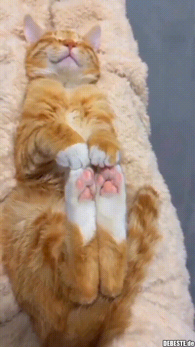 Schlafende Katze.. - Lustige Bilder | DEBESTE.de