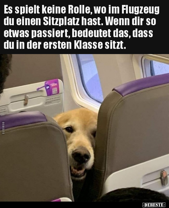 Es spielt keine Rolle, wo im Flugzeug du einen Sitzplatz.. - Lustige Bilder | DEBESTE.de