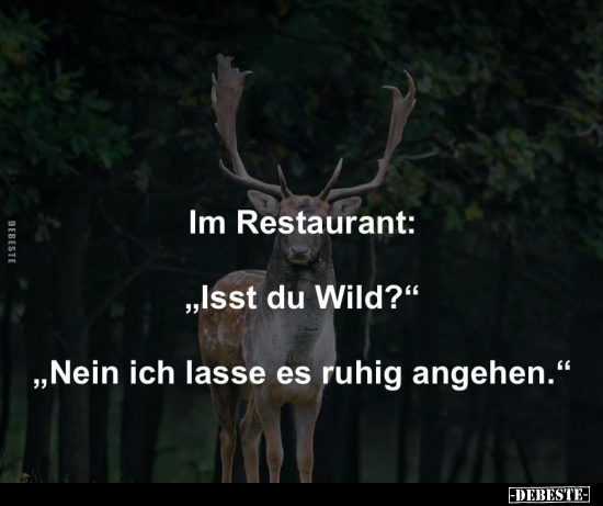 Im Restaurant: "Isst du Wild?" "Nein ich lasse es ruhig.." - Lustige Bilder | DEBESTE.de
