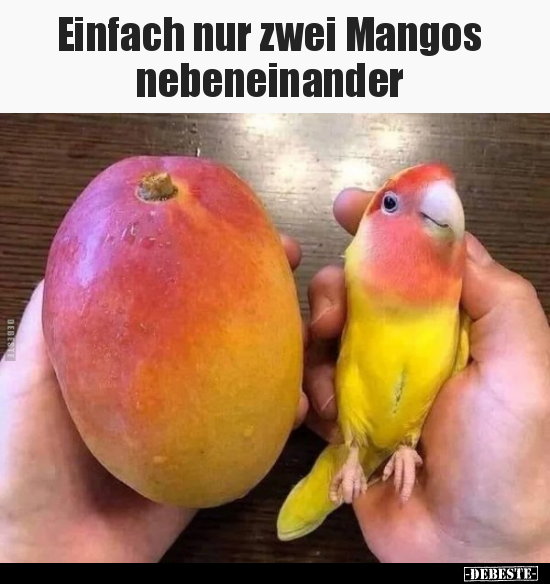 Einfach nur zwei Mangos nebeneinander.. - Lustige Bilder | DEBESTE.de