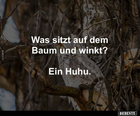 Was sitzt auf dem Baum und winkt?... - Lustige Bilder | DEBESTE.de