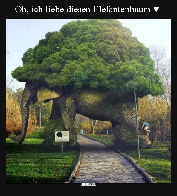 Oh, ich liebe diesen Elefantenbaum. ♥ - Lustige Bilder | DEBESTE.de