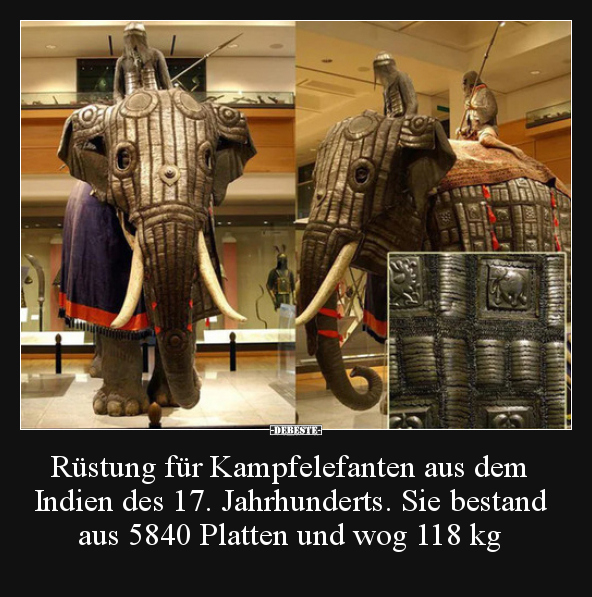 Rüstung für Kampfelefanten aus dem Indien des 17... - Lustige Bilder | DEBESTE.de