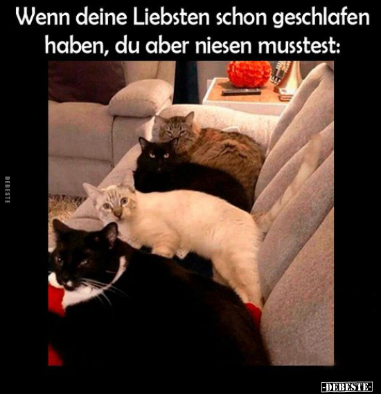 Wenn deine Liebsten schon geschlafen haben, du aber niesen.. - Lustige Bilder | DEBESTE.de