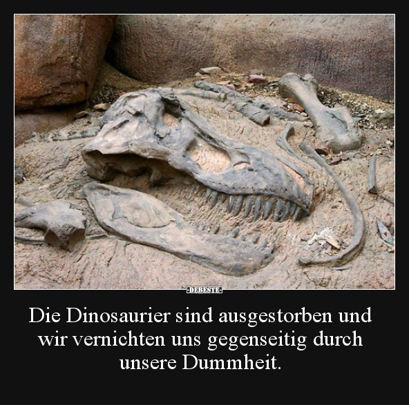 Die Dinosaurier sind ausgestorben und wir vernichten uns.. - Lustige Bilder | DEBESTE.de