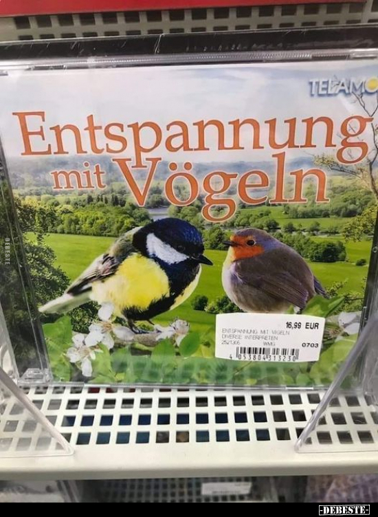 Entspannung mit Vögeln.. - Lustige Bilder | DEBESTE.de