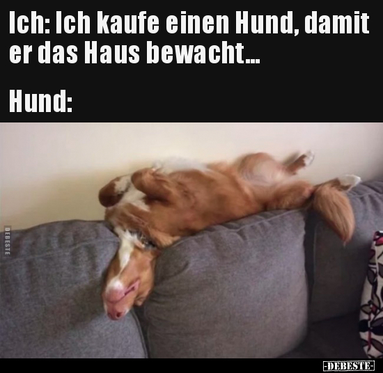 Ich: Ich kaufe einen Hund, damit er das Haus.. - Lustige Bilder | DEBESTE.de