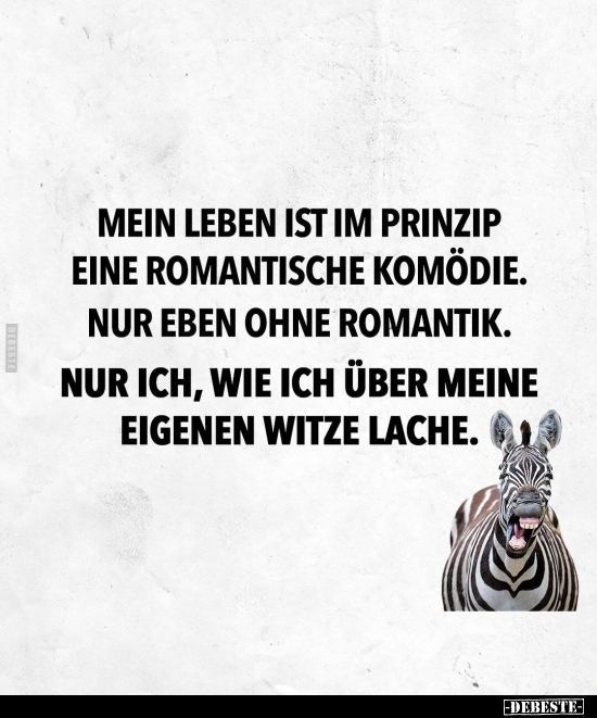 Mein Leben ist im Prinzip eine romantische Komödie... - Lustige Bilder | DEBESTE.de