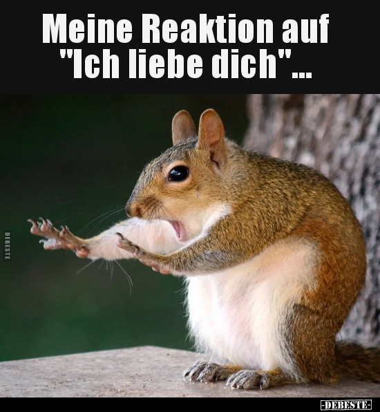 Meine Reaktion auf "ich liebe dich"... - Lustige Bilder | DEBESTE.de