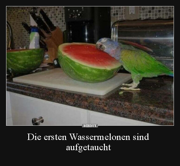 Die ersten Wassermelonen sind aufgetaucht.. - Lustige Bilder | DEBESTE.de