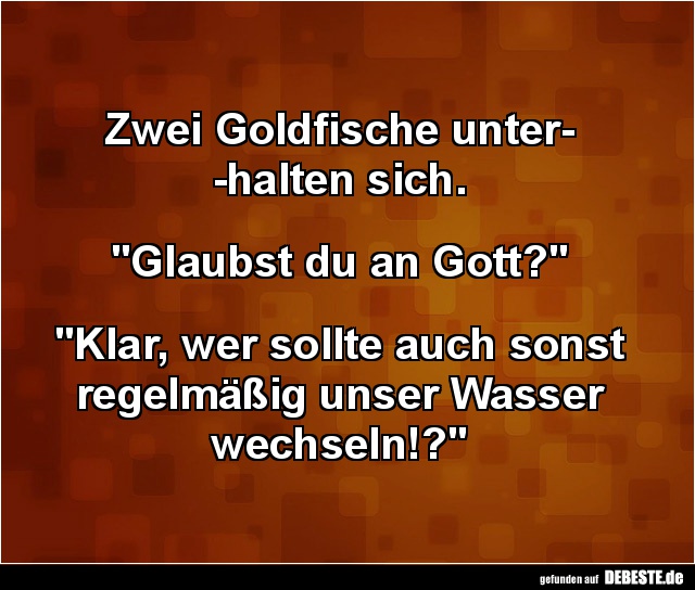 Zwei Goldfische unterhalten sich. - Lustige Bilder | DEBESTE.de