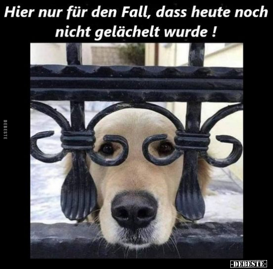 Hier nur für den Fall, dass heute noch nicht gelächelt.. - Lustige Bilder | DEBESTE.de