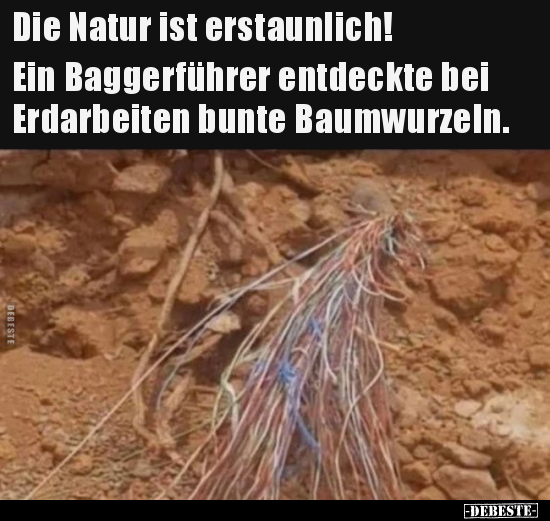 Die Natur ist erstaunlich! Ein Baggerführer entdeckte bei.. - Lustige Bilder | DEBESTE.de