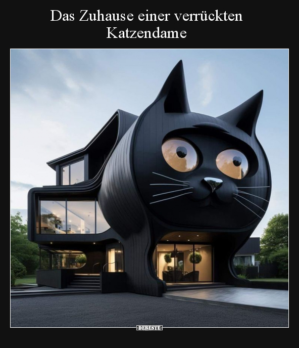 Das Zuhause einer verrückten Katzendame.. - Lustige Bilder | DEBESTE.de
