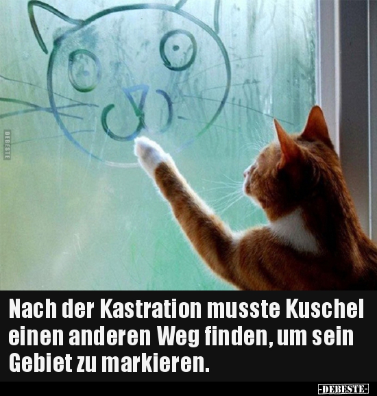 Nach der Kastration musste Kuschel einen anderen Weg.. - Lustige Bilder | DEBESTE.de