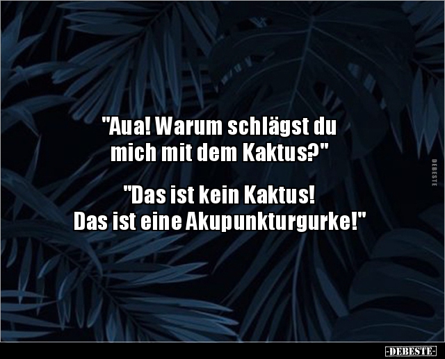 "Aua! Warum schlägst du mich mit dem Kaktus?"... - Lustige Bilder | DEBESTE.de