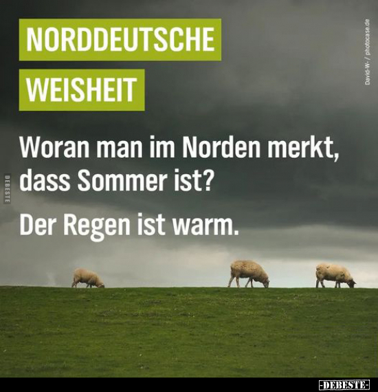 Woran man im Norden merkt, dass Sommer ist? - Lustige Bilder | DEBESTE.de