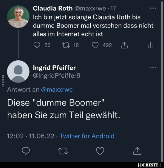 Claudia Roth Ich bin jetzt solange Claudia Roth bis dumme.. - Lustige Bilder | DEBESTE.de