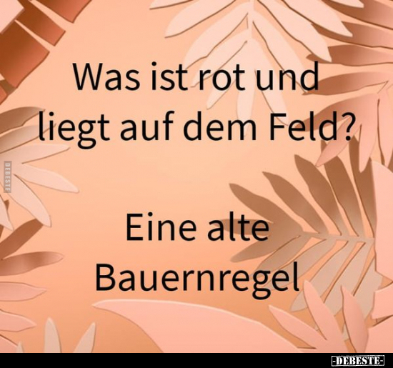 Was ist rot und liegt auf dem Feld?.. - Lustige Bilder | DEBESTE.de