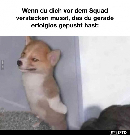 Wenn du dich vor dem Squad verstecken musst.. - Lustige Bilder | DEBESTE.de