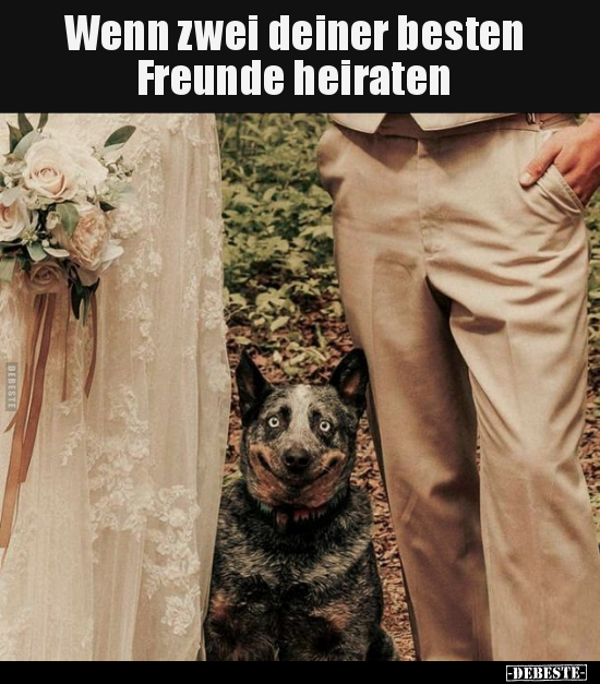 Wenn zwei deiner besten Freunde heiraten.. - Lustige Bilder | DEBESTE.de