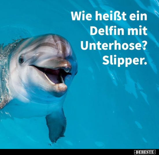 Wie heißt ein Delfin mit Unterhose? Slipper... - Lustige Bilder | DEBESTE.de