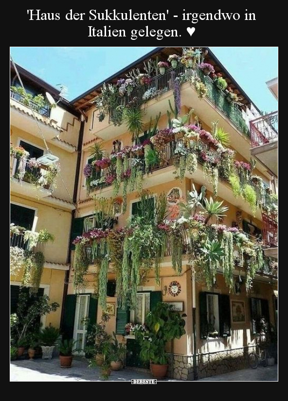 'Haus der Sukkulenten' - irgendwo in Italien gelegen. ♥ - Lustige Bilder | DEBESTE.de