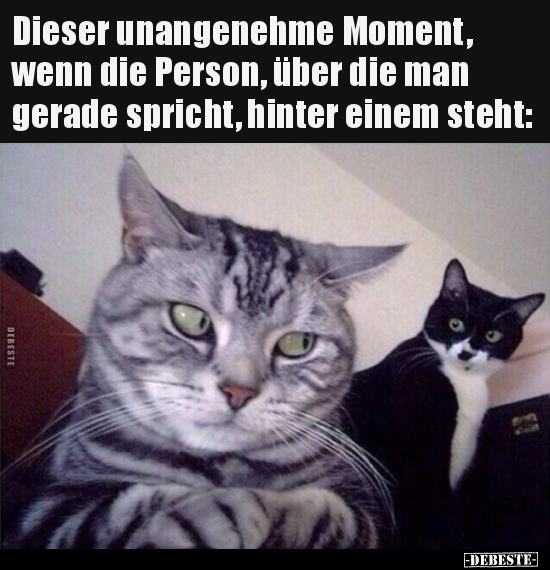 Dieser unangenehme Moment, wenn die Person, über die man.. - Lustige Bilder | DEBESTE.de