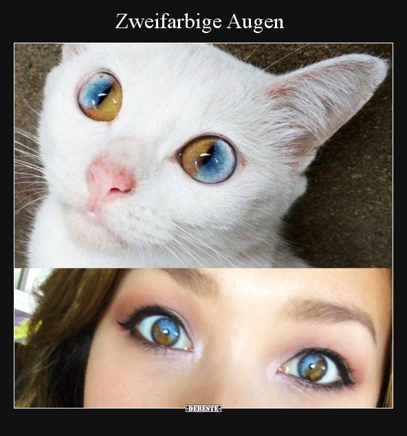 Zweifarbige Augen.. - Lustige Bilder | DEBESTE.de