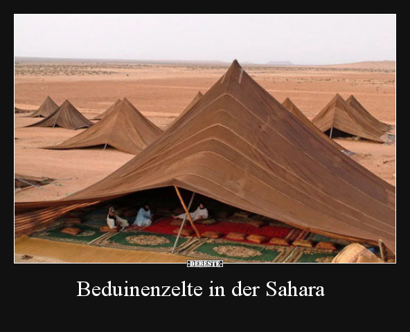 Beduinenzelte in der Sahara - Lustige Bilder | DEBESTE.de