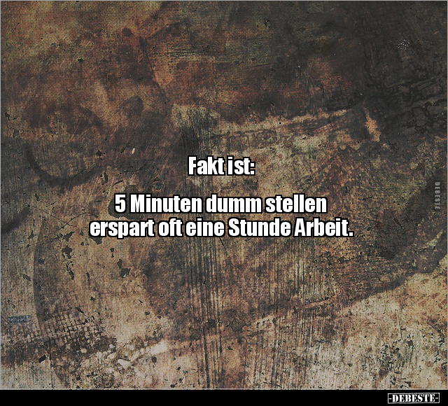 Fakt ist: 5 Minuten dumm stellen erspart oft.. - Lustige Bilder | DEBESTE.de