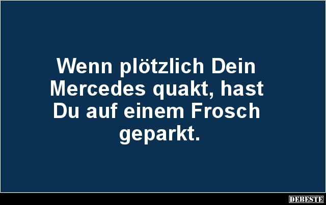 Wenn plötzlich Dein Mercedes quakt.. - Lustige Bilder | DEBESTE.de