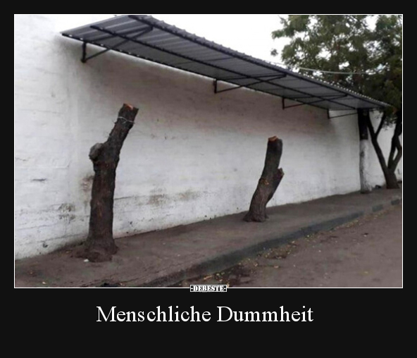 Menschliche Dummheit.. - Lustige Bilder | DEBESTE.de