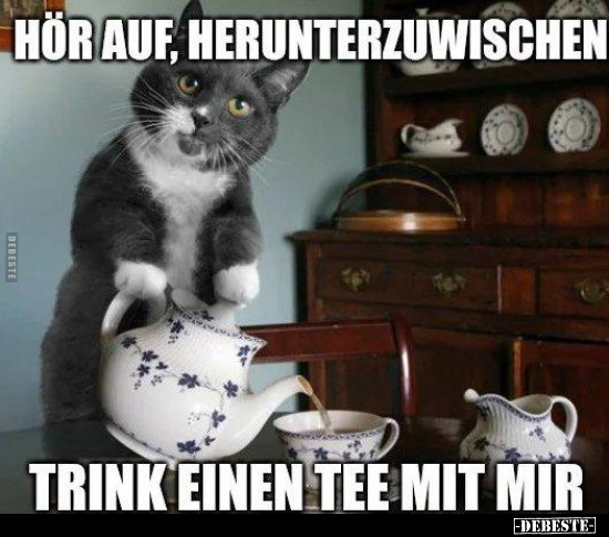 Hör auf, herunterzuwischen, trink einen Tee mit mir... - Lustige Bilder | DEBESTE.de