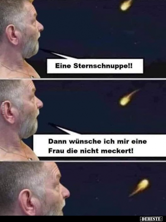 Eine Sternschnuppe!!.. - Lustige Bilder | DEBESTE.de