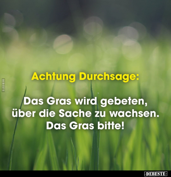 Achtung Durchsage: Das Gras wird gebeten, über die Sache zu.. - Lustige Bilder | DEBESTE.de