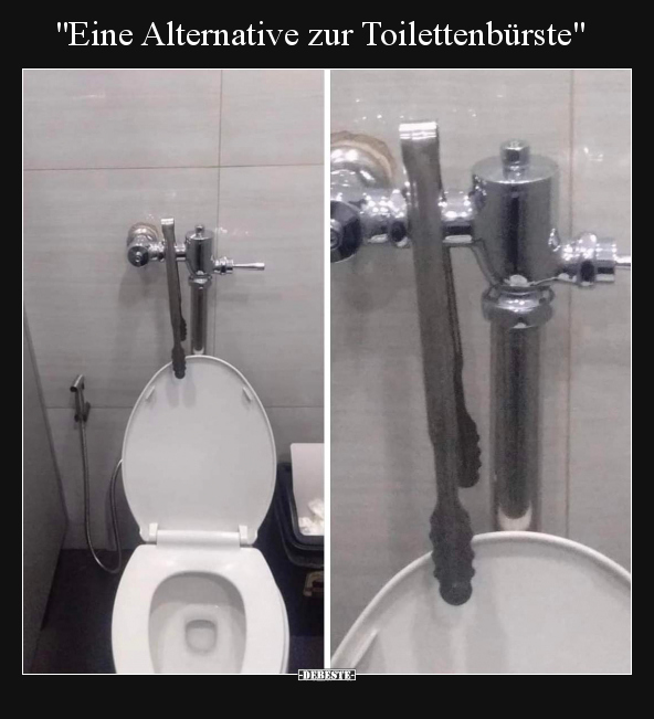 "Eine Alternative zur Toilettenbürste".. - Lustige Bilder | DEBESTE.de