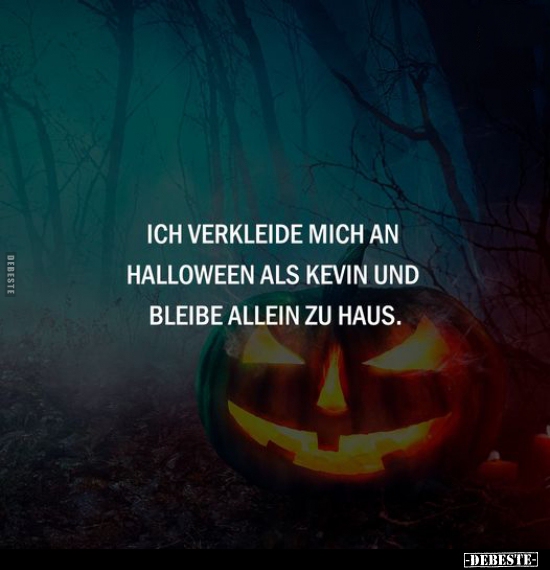 Ich verkleide mich an Halloween als Kevin und bleibe.. - Lustige Bilder | DEBESTE.de