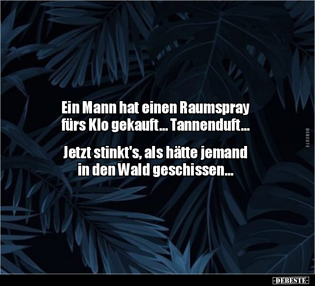 Ein Mann hat einen Raumspray fürs Klo gekauft... - Lustige Bilder | DEBESTE.de