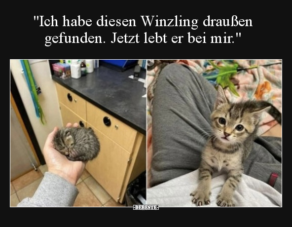 "Ich habe diesen Winzling draußen gefunden. Jetzt lebt er.." - Lustige Bilder | DEBESTE.de