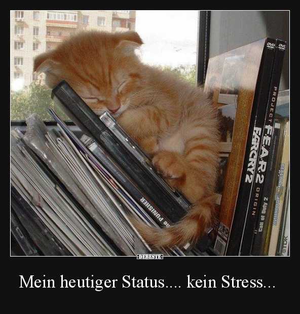 Mein heutiger Status.... kein Stress... - Lustige Bilder | DEBESTE.de