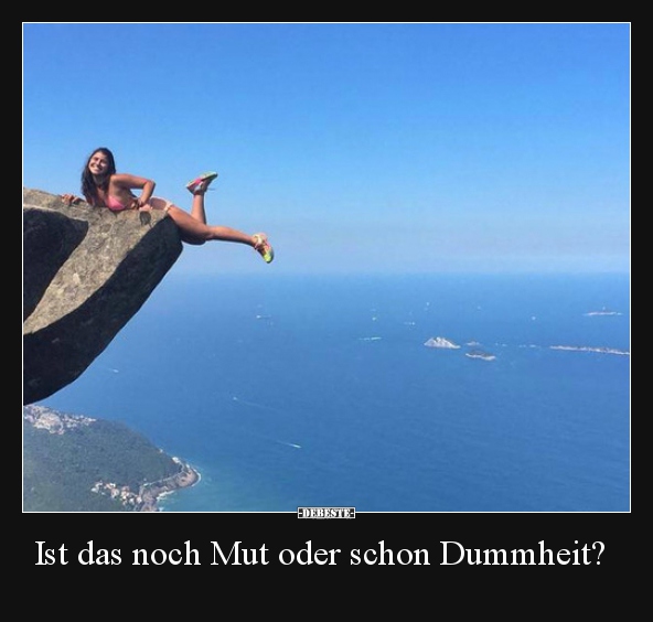 lustige bilder dummheit