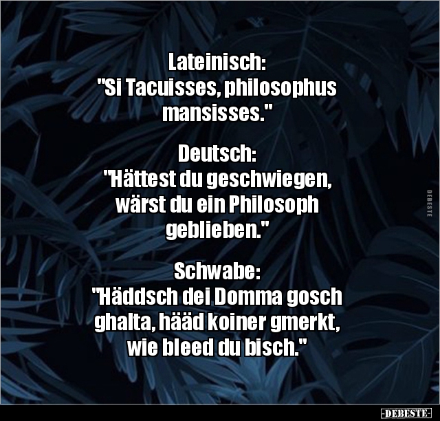 Lateinisch: "Si Tacuisses, philosophus.." - Lustige Bilder | DEBESTE.de
