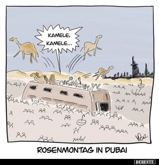 Kamele, Kamele... - Lustige Bilder | DEBESTE.de