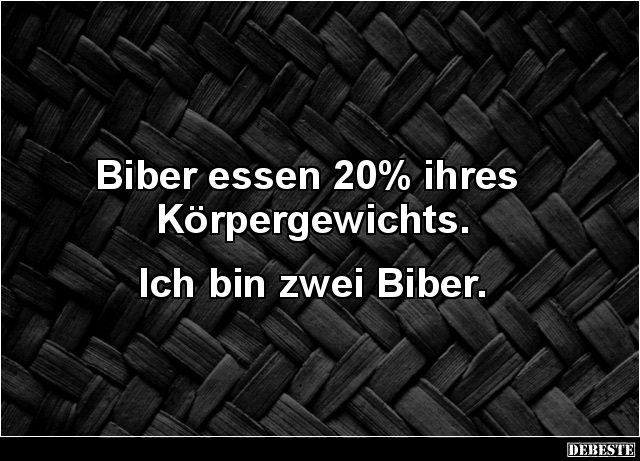 Biber essen 20% ihres Körpergewichts.. - Lustige Bilder | DEBESTE.de